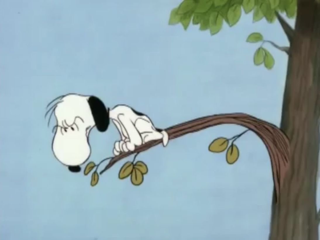 DailySnoopys's tweet photo. https://t.co/BjIBrfn5DP