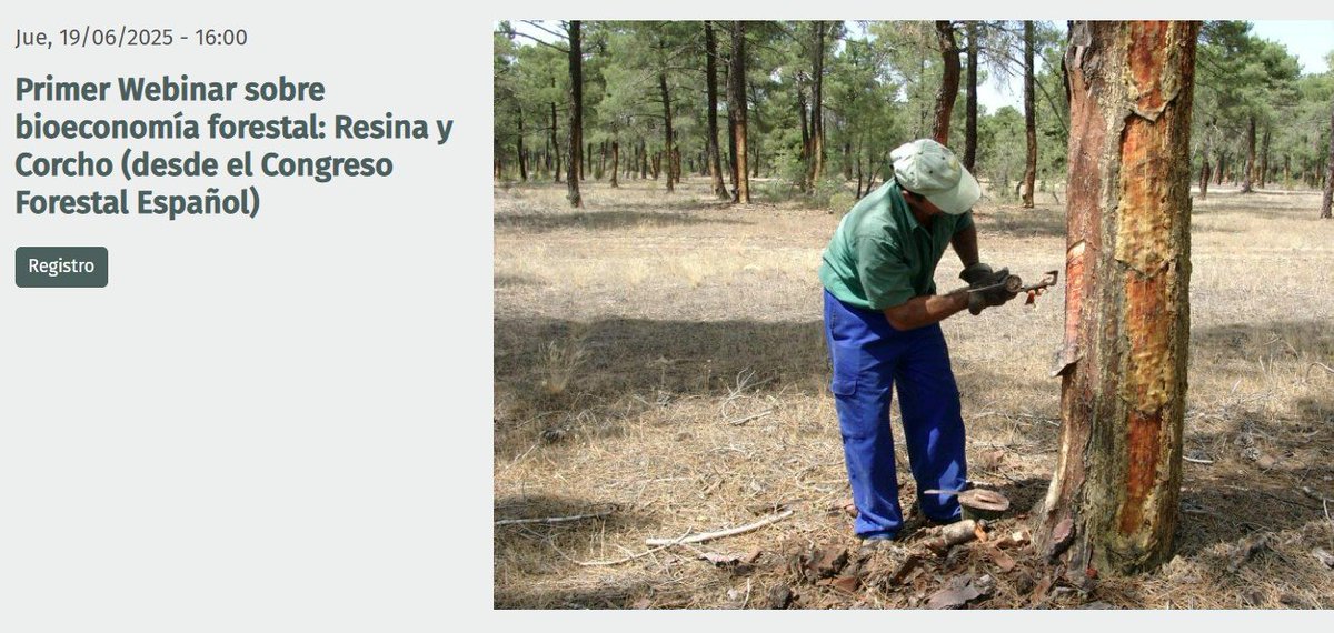 Si os perdisteis el Webinar Bioeconomía forestal: Resina y Corcho🌳aquí os dejamos el enlace para verlo👇
🔗bit.ly/4kSIoDB
🔑Código de acceso: H9M5ac$W
🌳Durante el 9º Congreso Forestal Español #9CFE organizado por <a href="/REMP_es/">Red Estatal de Montes Públicos (REMP)</a> 
ℹ️<a href="/CICYTEX/">CICYTEX</a> participó cicytex.juntaex.es/-/webinar-bioe…