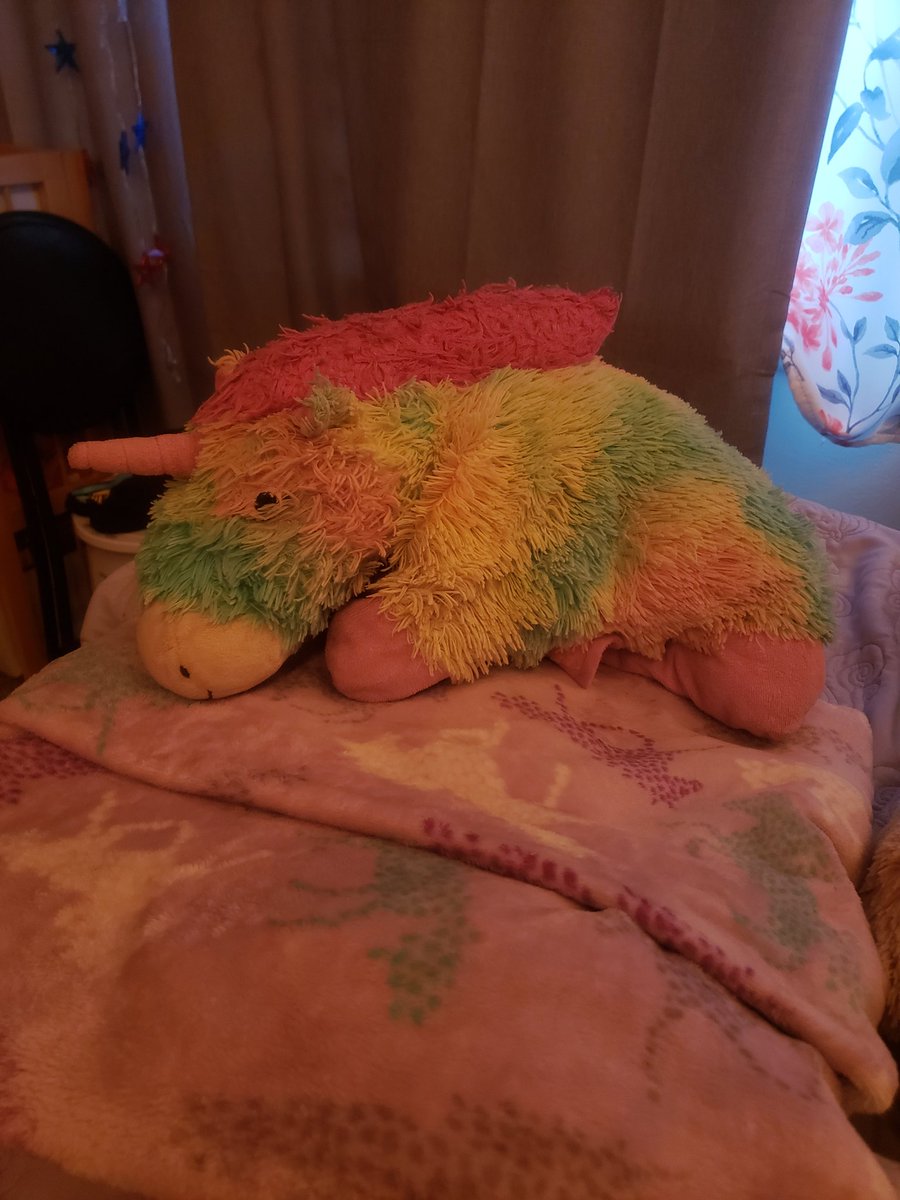 sunnysidesub's tweet photo. @Dick22846606 @Hislilcutie01 This is Poly, he says get better soon sweet Kat! https://t.co/mVd0cbySsT