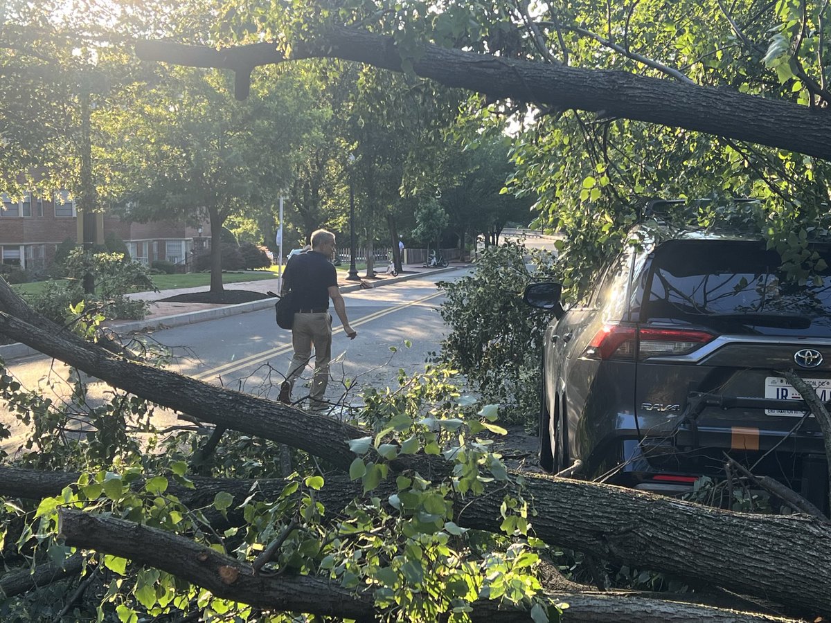 RiverGirl707's tweet image. Friday morning on Q Street in #DC with tree toppled by #Storm! @capitalweather @KaitlynMcGrath