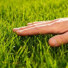 fannie48722's tweet photo. #openseatouchgrass https://t.co/meKGRCBUnP