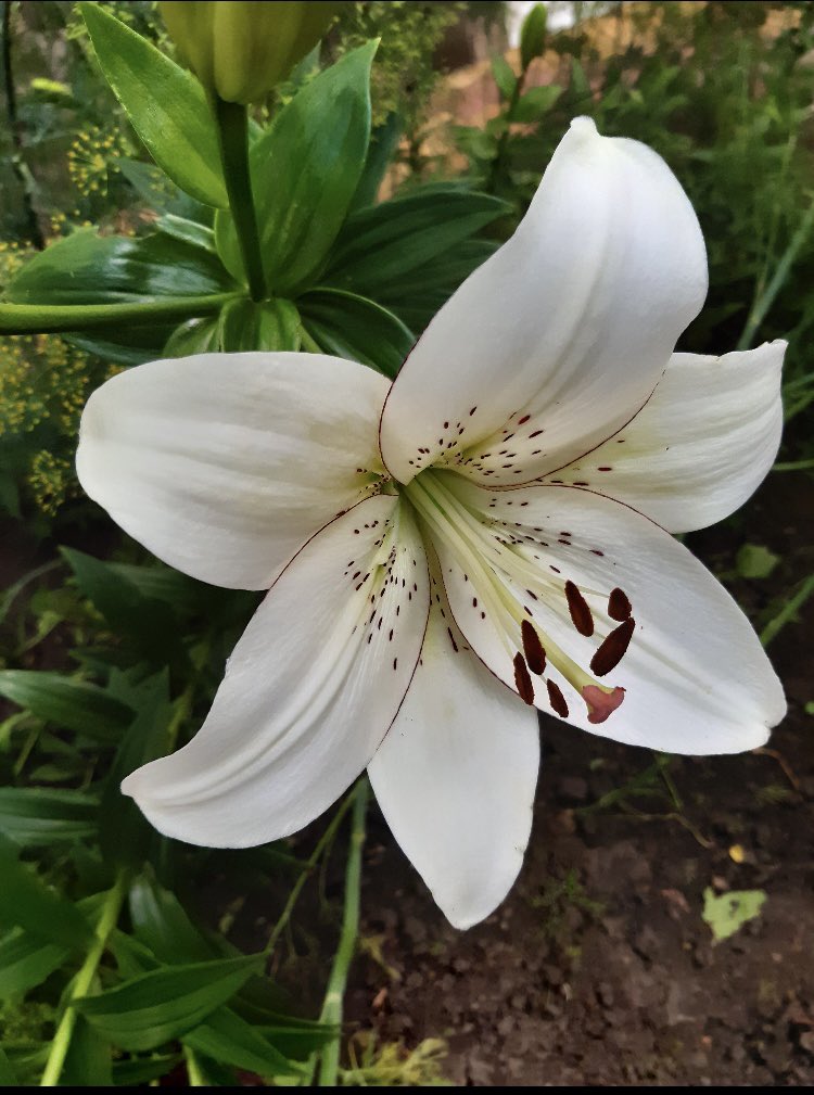 Kate Drawdy (@gummoxxx) on Twitter photo 