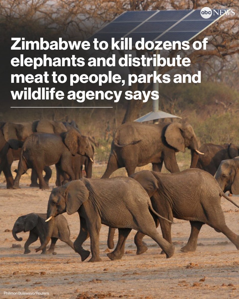 Do humans ever think about managing their own population!!??