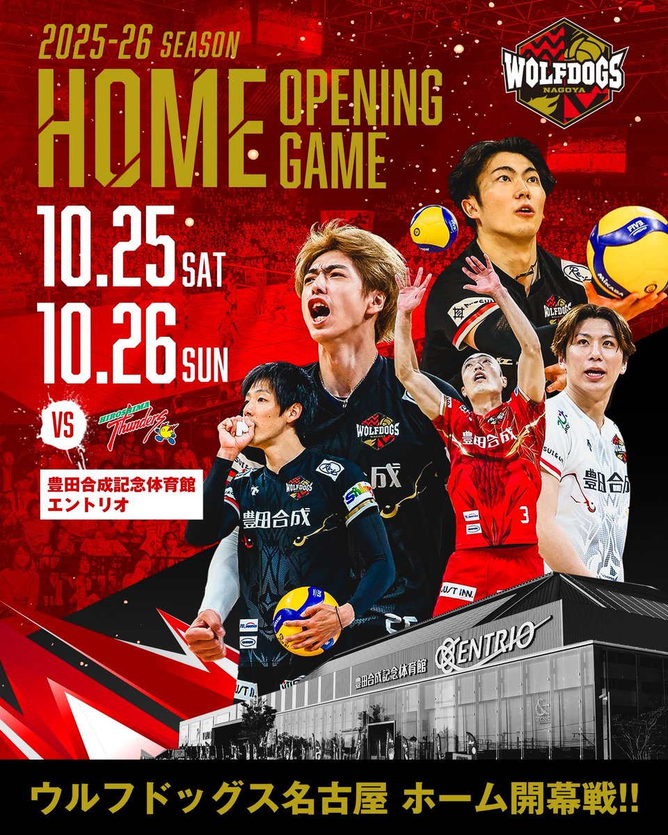 【激レア】ウルフドッグス名古屋　バレーボール選手　サイン色紙 激レア】ウルフドッグス名古屋 バレーボール選手 サイン色紙