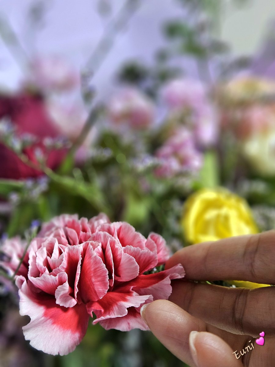 며칠전부터 식탁에 놓인 꽃다발.
오늘에서야
나와 진심으로 마주쳤다.
그냥....
예뻐서 바라보고
바라보다 보니
네가 품고 있는 향기에 닿을 수 있었어.
잠시나마
조용히 숨죽이며
그 순간만큼은 너에게 집중하는 시간.

_ Euni 💕
#나에게도집중을
#팝콘튀는것같은_빗소리들으며
#비오니깐_생각다반사