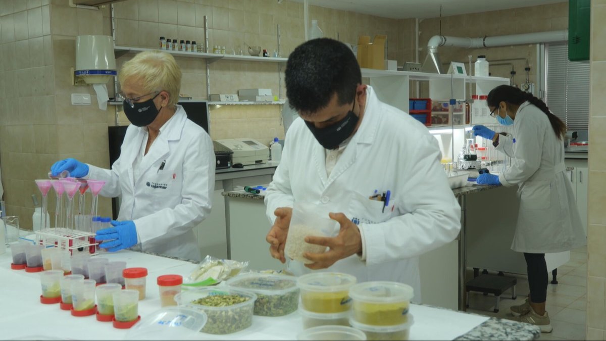 Agrosfera (@agrosfera_tve) on Twitter photo 🌱 El centro experimental de innovación agrícola Las Palmerillas, en El Ejido, cumple 50 años.
🚜 Desde su inicio, ha apoyado la modernización de cultivos y el desarrollo de tecnologías para una producción más rentable y sostenible.
<a href="/RTVEAndalucia/">RTVEAndalucía</a> 🌱 El centro experimental de innovación agrícola Las Palmerillas, en El Ejido, cumple 50 años.
🚜 Desde su inicio, ha apoyado la modernización de cultivos y el desarrollo de tecnologías para una producción más rentable y sostenible.
<a href="/RTVEAndalucia/">RTVEAndalucía</a>