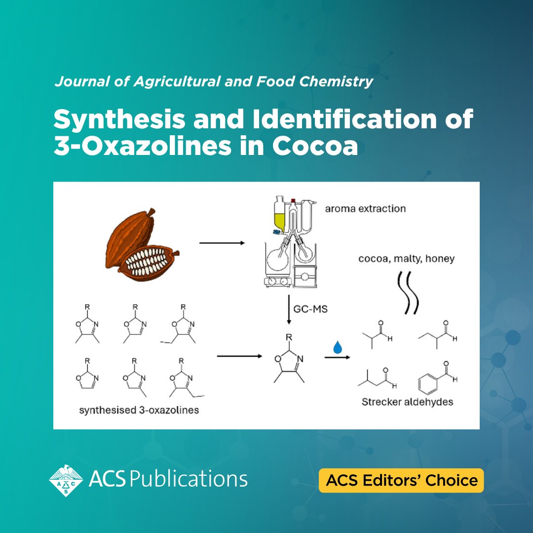 'Synthesis and Identification of 3-Oxazolines in Cocoa' from Journal of Agricultural and Food Chemistry is an open access #ACSEditorsChoice.

📖 Read the article: go.acs.org/cKX