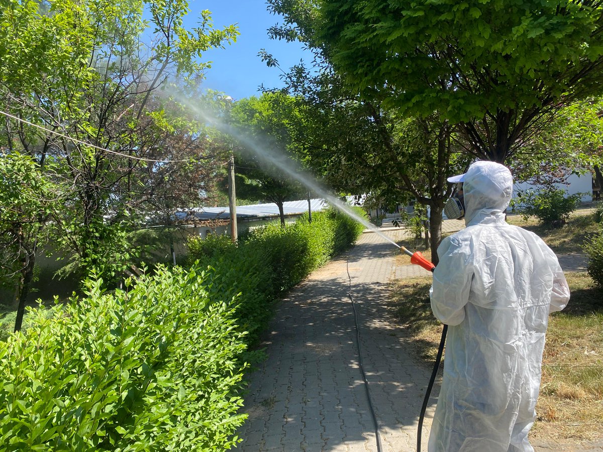 Akyurt genelinde park, yeşil alan ve ağaçlarda ilaçlama çalışması yapıyoruz.

#AkyurtBelediyesi