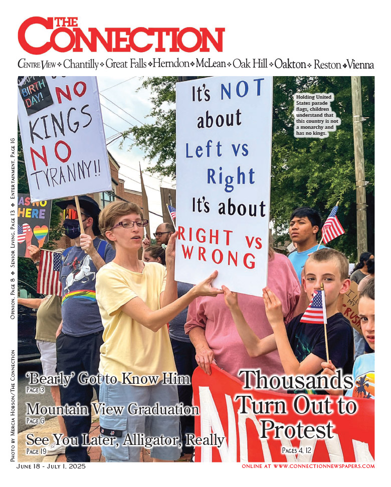 Read The Latest Fairfax County North Connection - mailchi.mp/connectionnews…