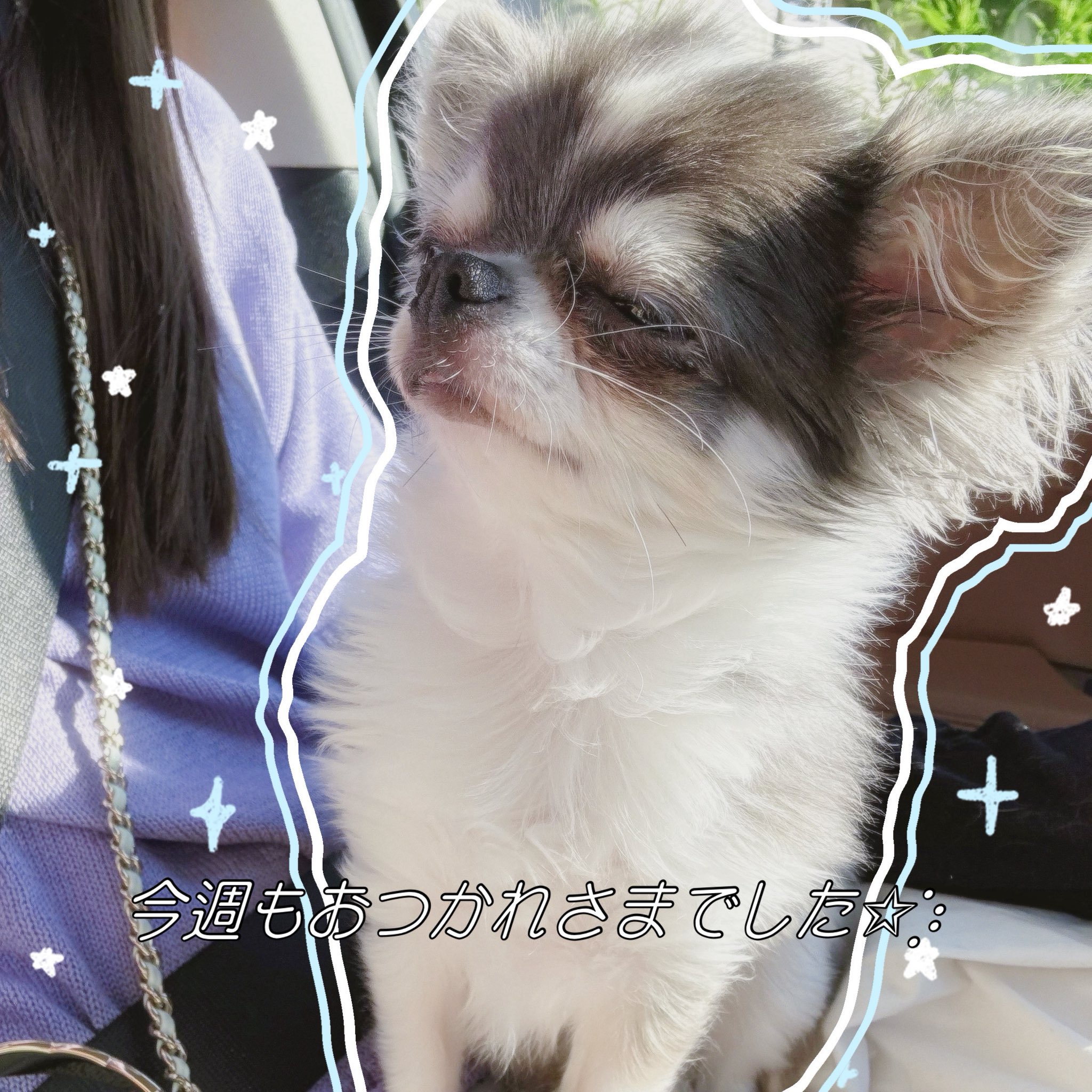 春茶 (@HARUTYA1226) / X
