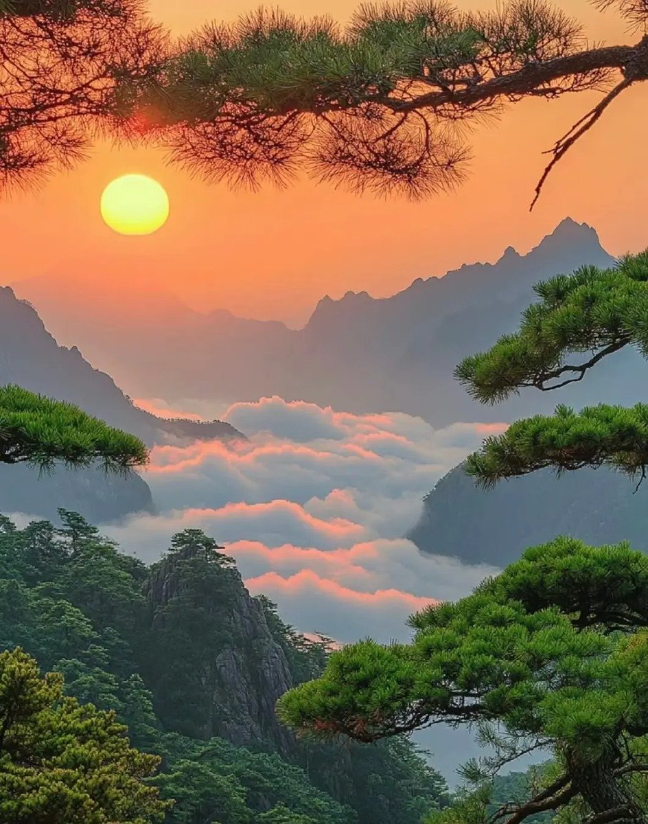 安徽黄山，人类瑰宝~
#大美中国