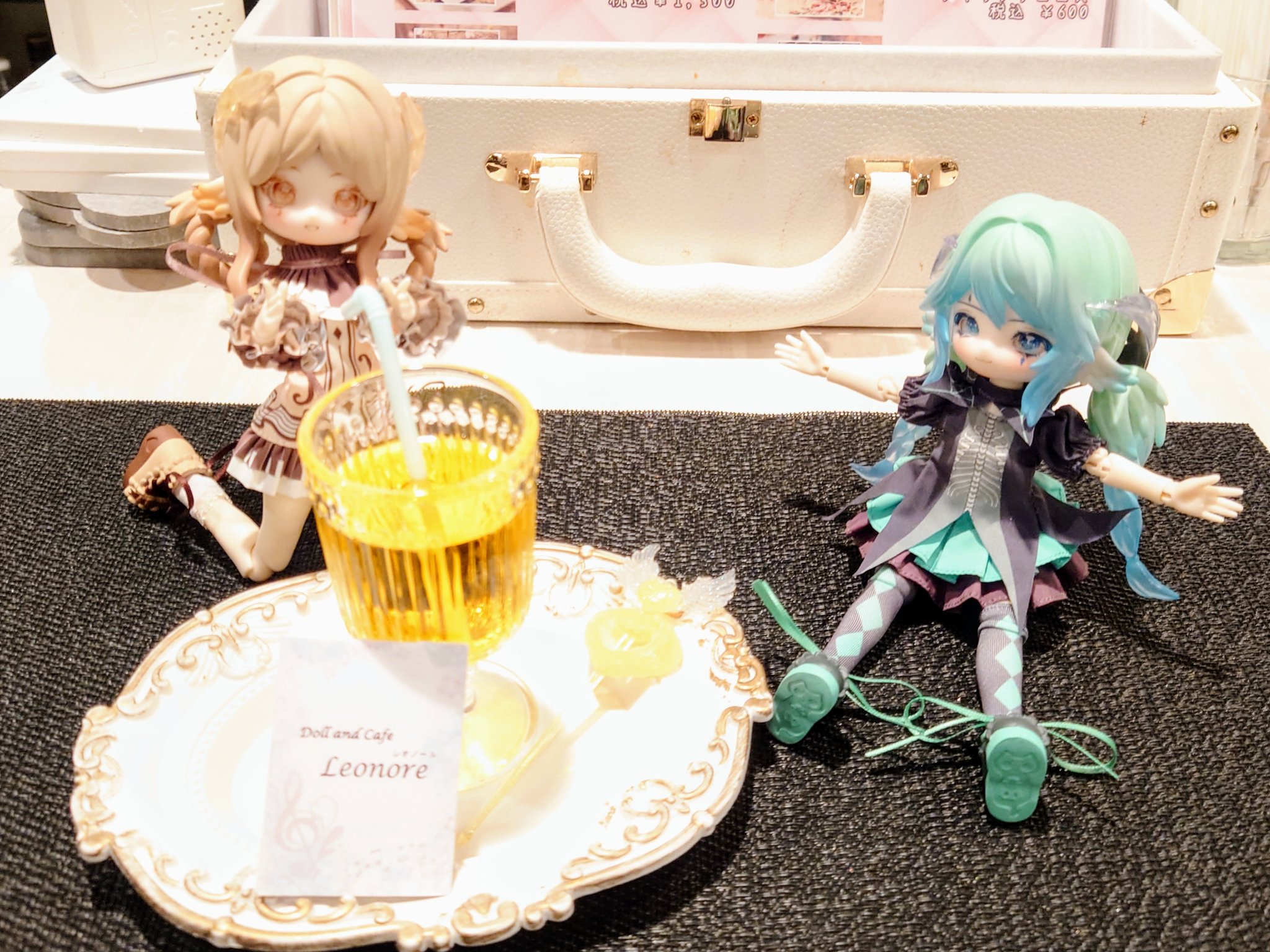 まりも (@marimo_msh) / X