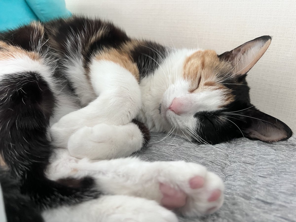 올릴까 말까 했다가 안올렸던 사진