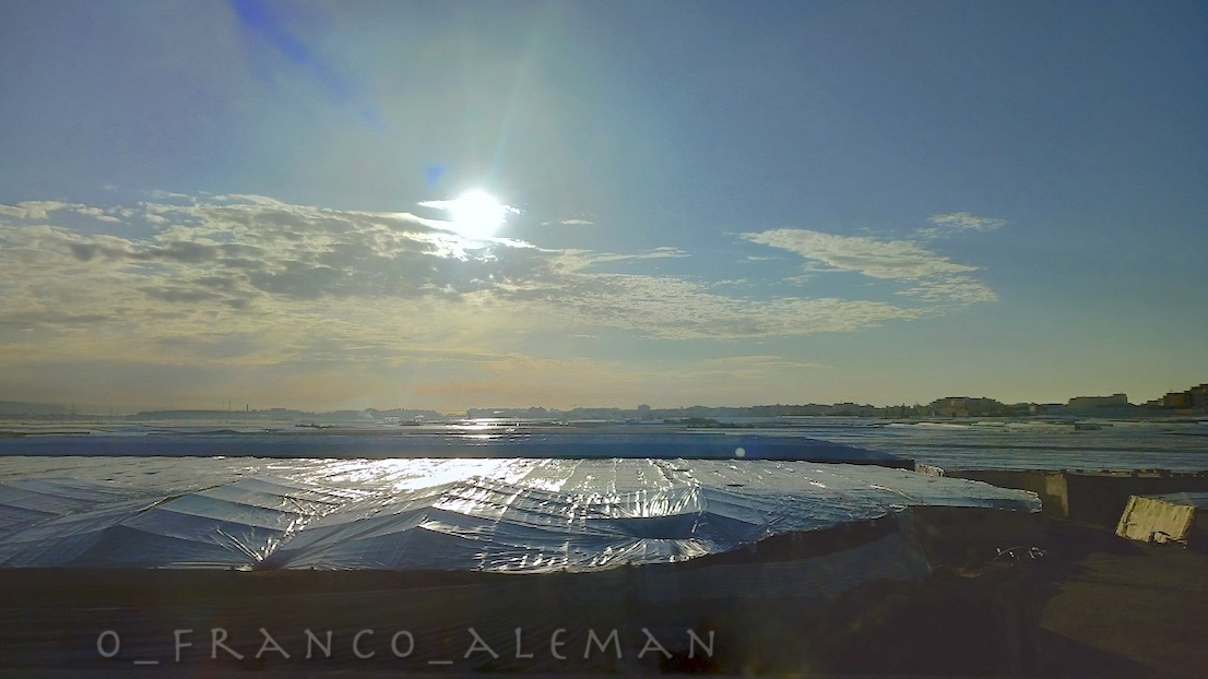 invernaderos en Almería,
la despensa de #Europa,
un mar de plástico...

#Spain #España #Andalucia #Andalusia 
#plastic #food #sunlight
