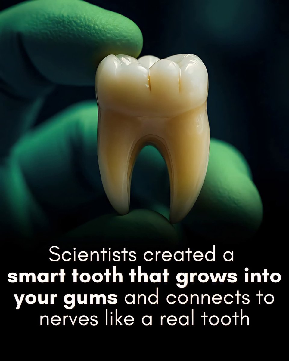 archana asrani @asrani - Twitter Profile | Sotwe