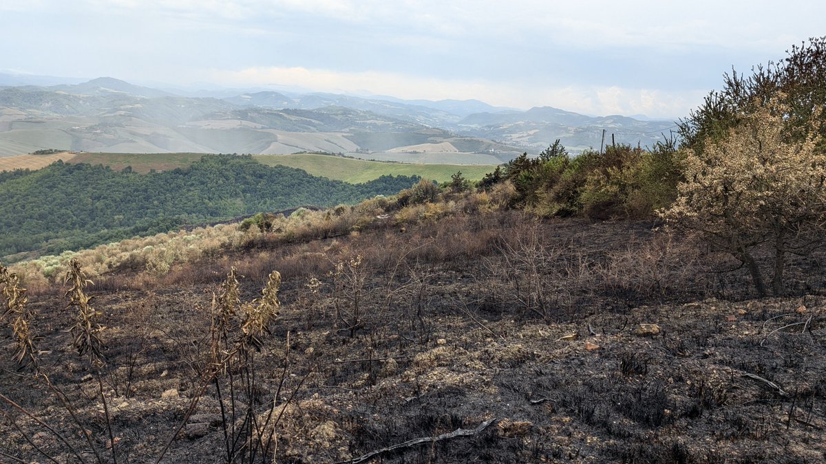 🔥 Fase di attenzione per il rischio incendi boschivi 🔥
Dal 23 giugno al 14 settembre 2025 è attiva in tutta l’Emilia-Romagna la fase di attenzione AIB (Antincendio Boschivo).

💻 Consulta qui l'avviso della Regione Emilia-Romagna: tinyurl.com/3j5ts878