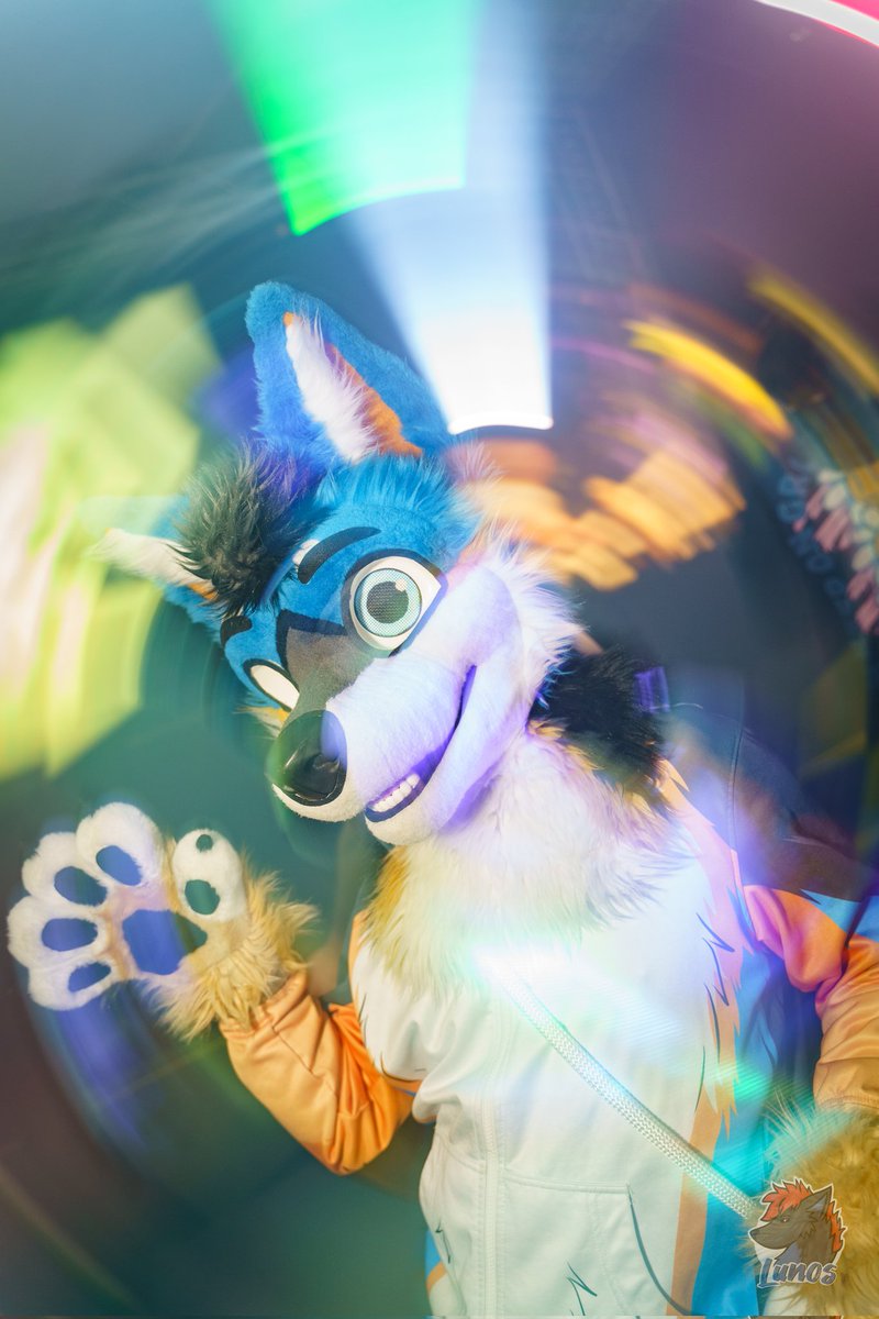 Nexus the Jackal tweet media