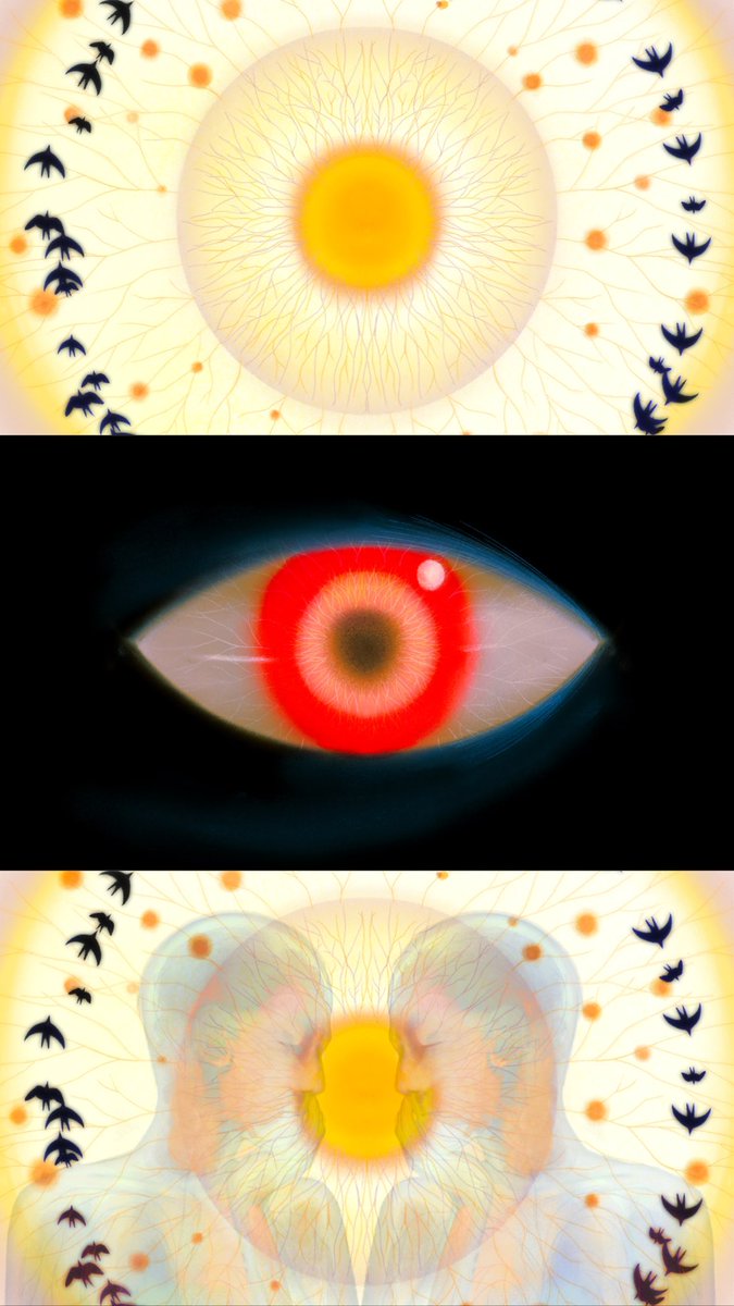missing_102's tweet image. 
