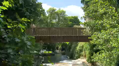 Agrosfera (@agrosfera_tve) on Twitter photo 🌳Ponemos rumbo a Casas del Monte, en el norte de Cáceres...
🏊♂️Nos bañamos en sus piscinas naturales rodeadas de cascadas y paseamos en bici por la Ruta de la Plata...
💫También, miramos al cielo para admirar cientos de estrellas.
<a href="/RTVE_Ext/">RTVE Extremadura</a> 🌳Ponemos rumbo a Casas del Monte, en el norte de Cáceres...
🏊♂️Nos bañamos en sus piscinas naturales rodeadas de cascadas y paseamos en bici por la Ruta de la Plata...
💫También, miramos al cielo para admirar cientos de estrellas.
<a href="/RTVE_Ext/">RTVE Extremadura</a>