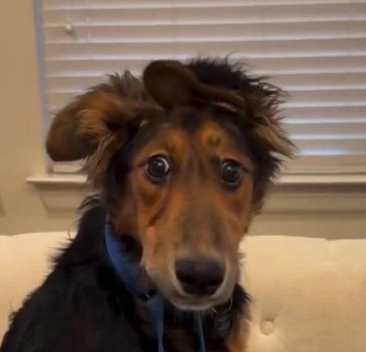 spotspot's tweet image. Me when my boss decides to Teams me at 3:00 on a Friday afternoon. (Also that’s his standard Friday move…)