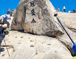 atomic0909's tweet image. #openseatouchgrass #opensea
@opensea