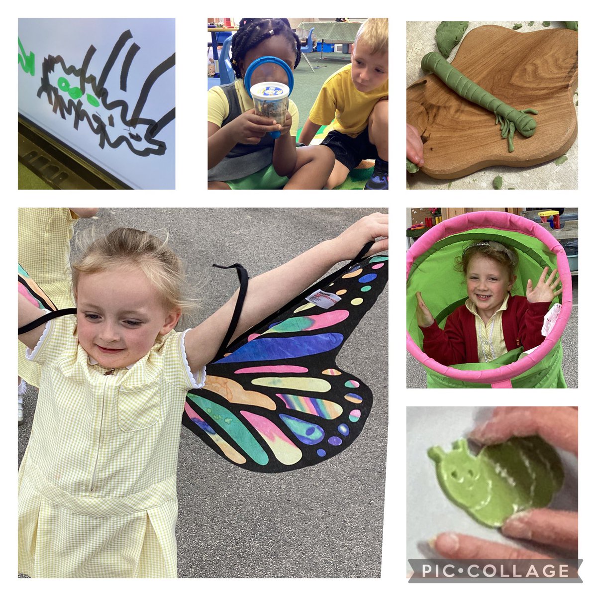 'The Very Hungry Caterpillar' has been bringing joy to childhood since 1969. Just think how life has changed-yet this book and what children need hasn't. Nursery has been truly inspired by this classic book. Thank you Eric Carle!