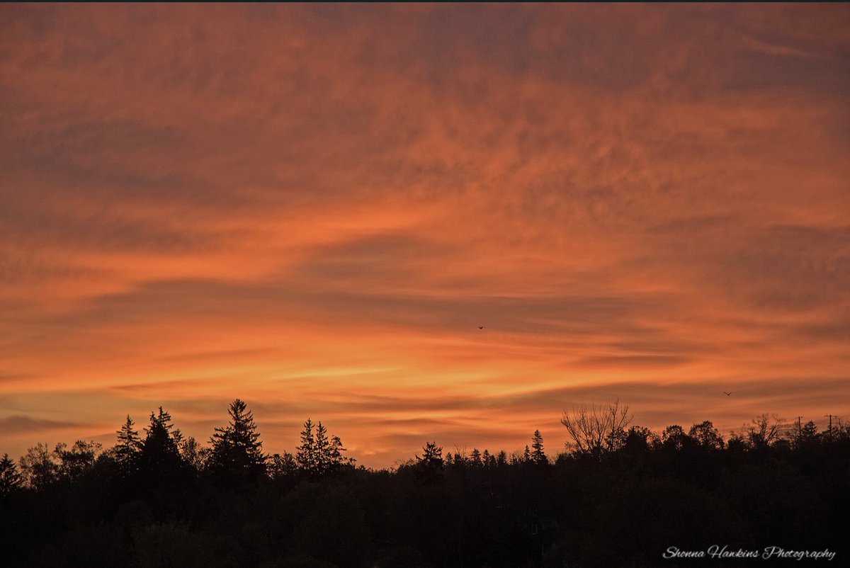 Shonna Hawkins Photography🌱 🇨🇦 (@shonna99784) on Twitter photo Good Friday morning friends!
It is now 14C with a high of 23C.
Sunny conditions expected around 11:00.
Too grey for a #sunrise so I chose this one from May 13, 2025.
Love the tree line!
<a href="/StormHour/">#StormHour</a> <a href="/ThePhotoHour/">#ThePhotoHour</a>
#sunrisephotography #Barrie #Ontario 🇨🇦
shonnahawkins.smugmug.com Good Friday morning friends!
It is now 14C with a high of 23C.
Sunny conditions expected around 11:00.
Too grey for a #sunrise so I chose this one from May 13, 2025.
Love the tree line!
<a href="/StormHour/">#StormHour</a> <a href="/ThePhotoHour/">#ThePhotoHour</a>
#sunrisephotography #Barrie #Ontario 🇨🇦
shonnahawkins.smugmug.com
