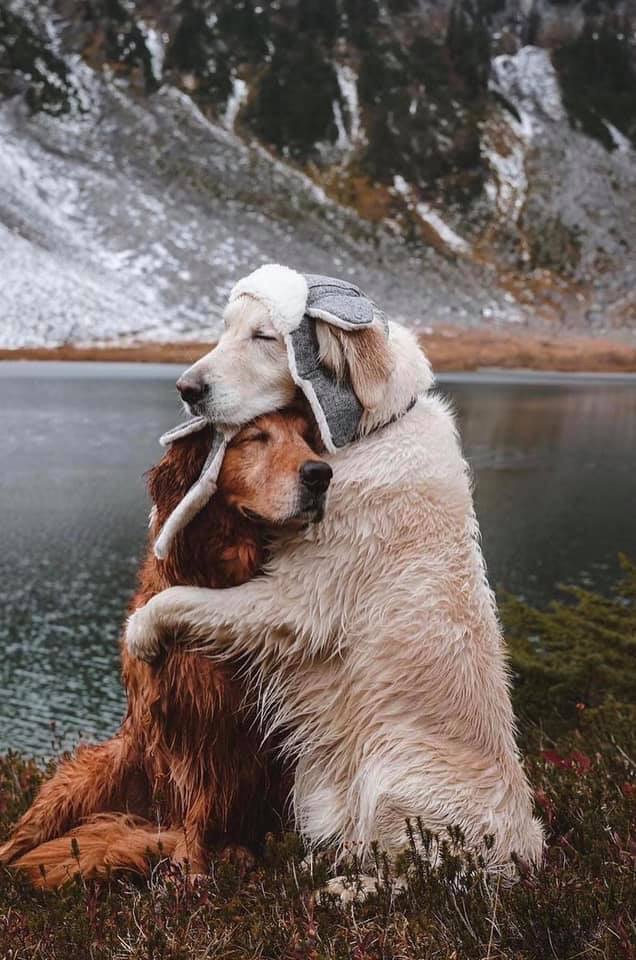 Good Friday morning Friends!

Did you know hug deprivation is real. You need 8 hugs a day for maintenance. Hugs reduce stress, lower blood pressure, improve sleep, calm muscles, release dopamine, and build trust. More hugs ~ more healing.

Hugs!