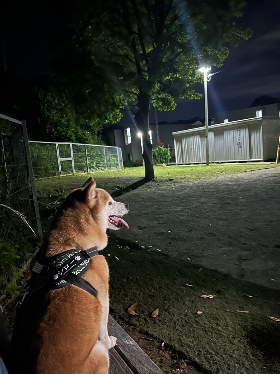 このアングルの写真に憧れてみた！
