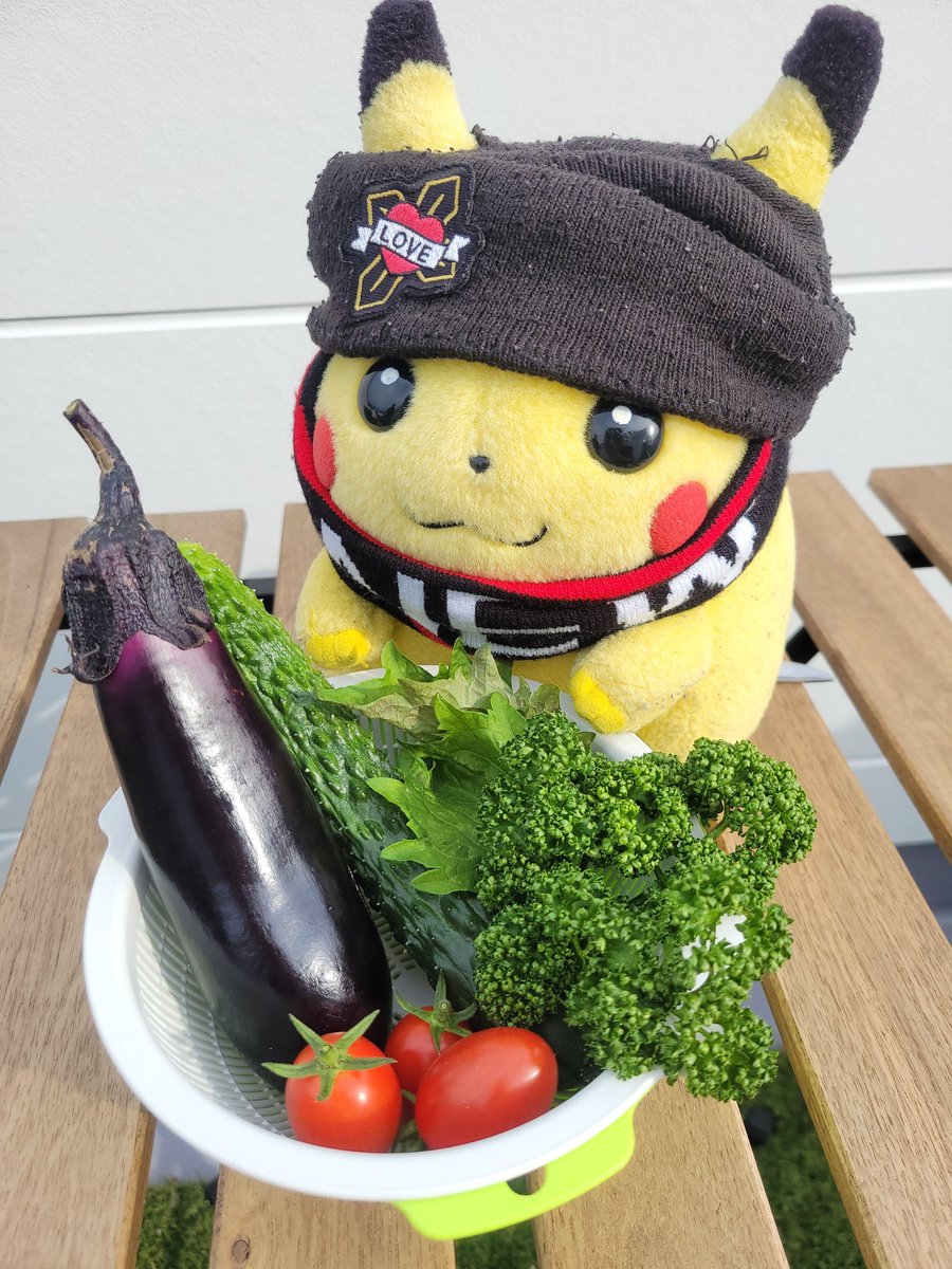 ちゅーた「なすびの収穫時期ちゅた〜🤗」