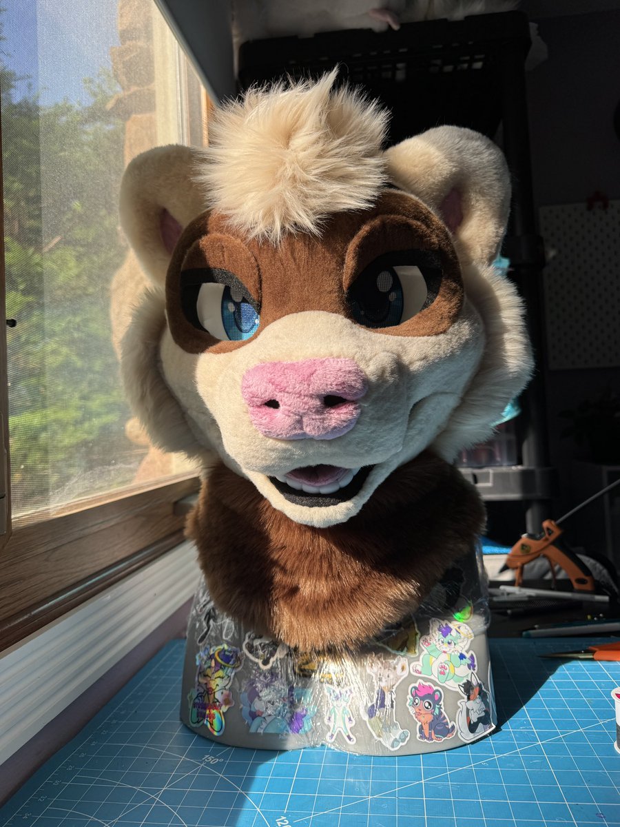 starbrightsuits's tweet image. All the mustelid following us… 

Hi ily guys 🥹🫶🫶