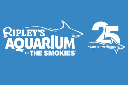 Pick up our Sweet Deal, Ripley's Aquarium of the Smokies! Get two (2) tickets to Ripley's Aquarium of the Smokies Plus 2 Attractions! A value of $134.08 selling for $67!!! While supplies last.  bit.ly/4lajHSB