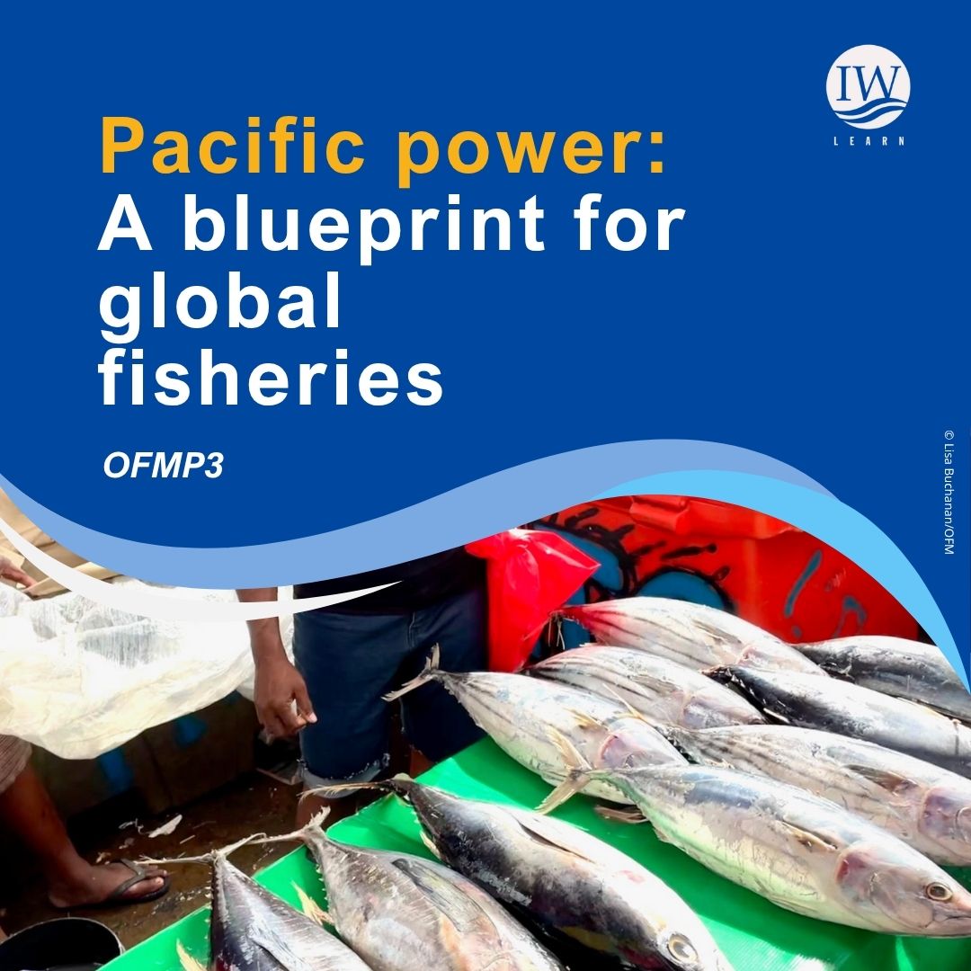 GEF IW:LEARN (@iwlearn) on Twitter photo “Here in the Pacific, we not only value tuna as an important species, but we recognise it as an integral part of our livelihoods” FFA Director General Noan Pakop.
Read how the Pacific has delivered a global model of success 👉 loom.ly/mj3qrP0
<a href="/sustainpacfish/">SustainPacFish</a> “Here in the Pacific, we not only value tuna as an important species, but we recognise it as an integral part of our livelihoods” FFA Director General Noan Pakop.
Read how the Pacific has delivered a global model of success 👉 loom.ly/mj3qrP0
<a href="/sustainpacfish/">SustainPacFish</a>