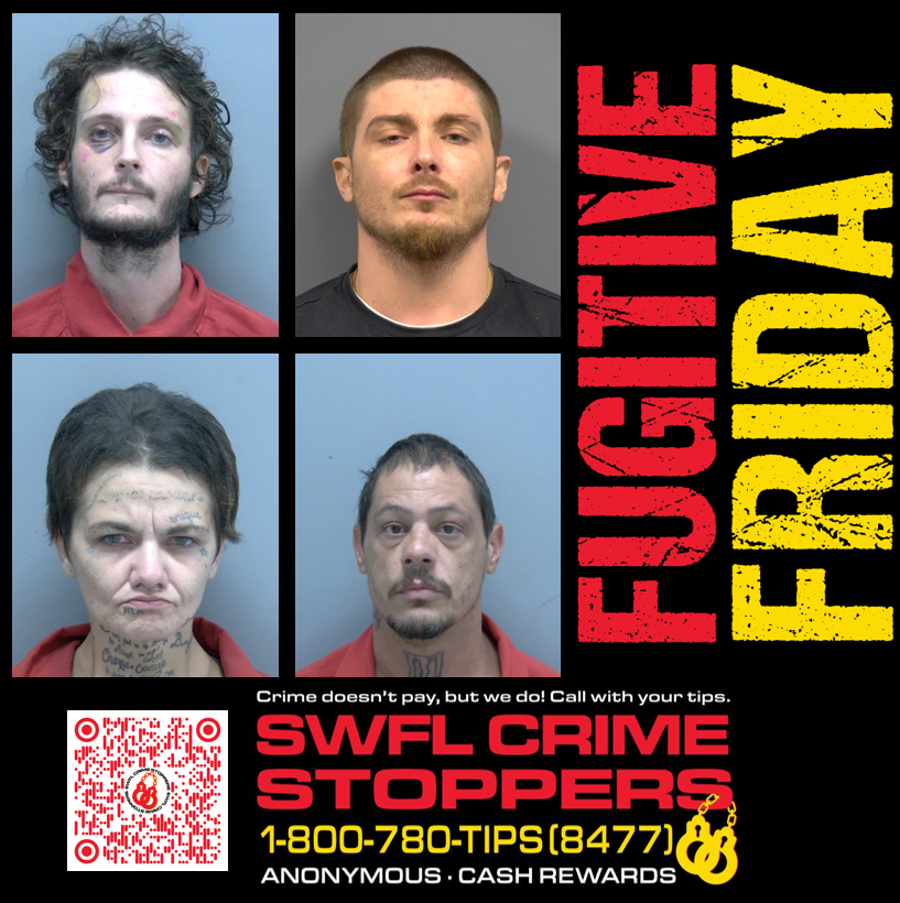 SWFL Crime Stoppers (@swflcrime8477) on Twitter photo HELP FIND A FELON & GET SOME CASH!
These 4 law breakers are on the run & we need your tips to track them down! Tune in to <a href="/GCNNow/">Gulf Coast News</a> on NBC2 today at 12:20 for Fugitive Friday & find out how your tip could earn you cash! Send tips to southwestfloridacrimestoppers.com or on the P3 Tips app! HELP FIND A FELON & GET SOME CASH!
These 4 law breakers are on the run & we need your tips to track them down! Tune in to <a href="/GCNNow/">Gulf Coast News</a> on NBC2 today at 12:20 for Fugitive Friday & find out how your tip could earn you cash! Send tips to southwestfloridacrimestoppers.com or on the P3 Tips app!
