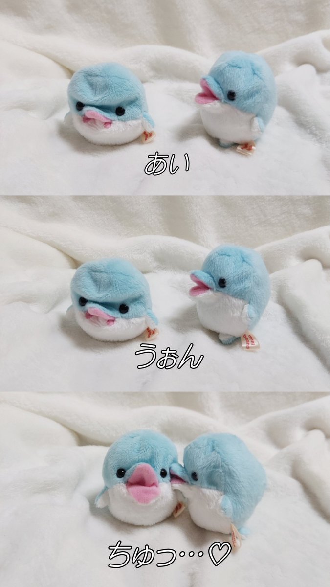 ささやか生活 tweet media