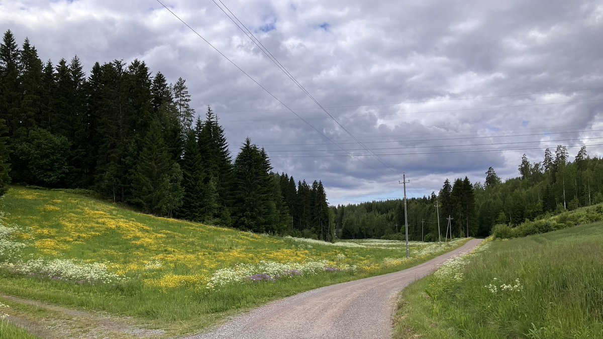 Juhannusaaton pitkä ja mäkinen pyörälenkki #TourdePaarlahti. Piti olla poutapäivä, mutta niin vain reilun parin tunnin jälkeen alkoi sataa. #pyöräily #Tampere