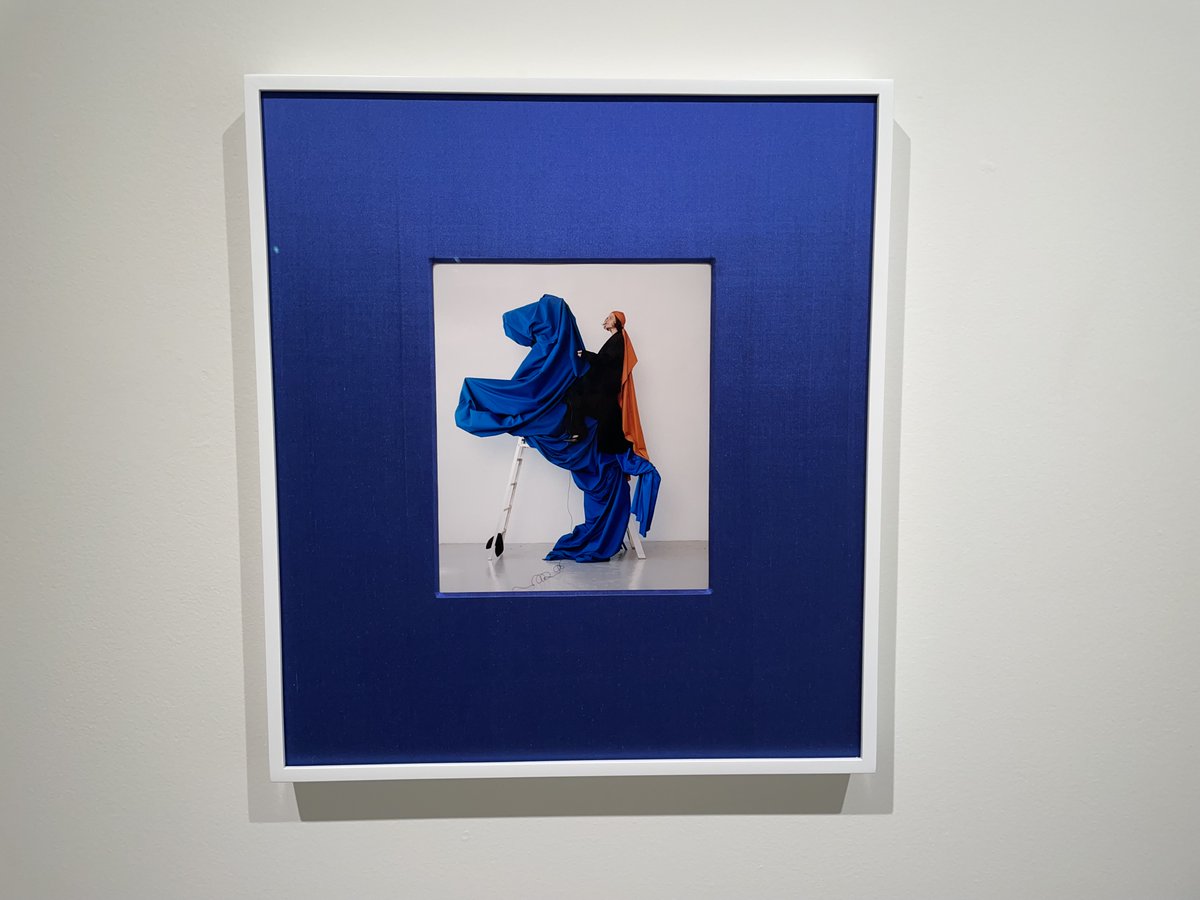 Daybook: Turning a draped ladder into a rearing beast. Camila Falquez (from 2024) in the Who? Me? group show at Hannah Traore Gallery. collectordaily.com/camila-falquez…