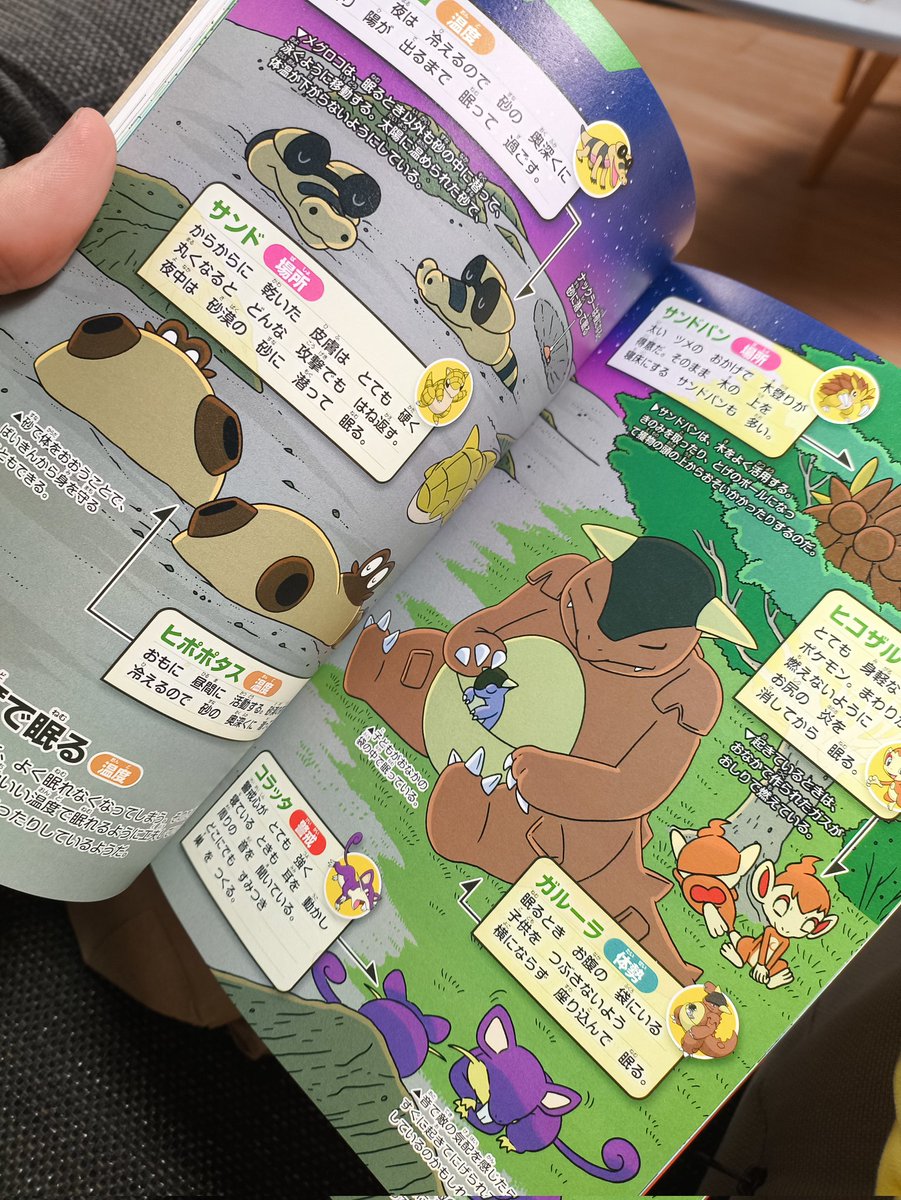 Las ilustraciones del libro son preciosas