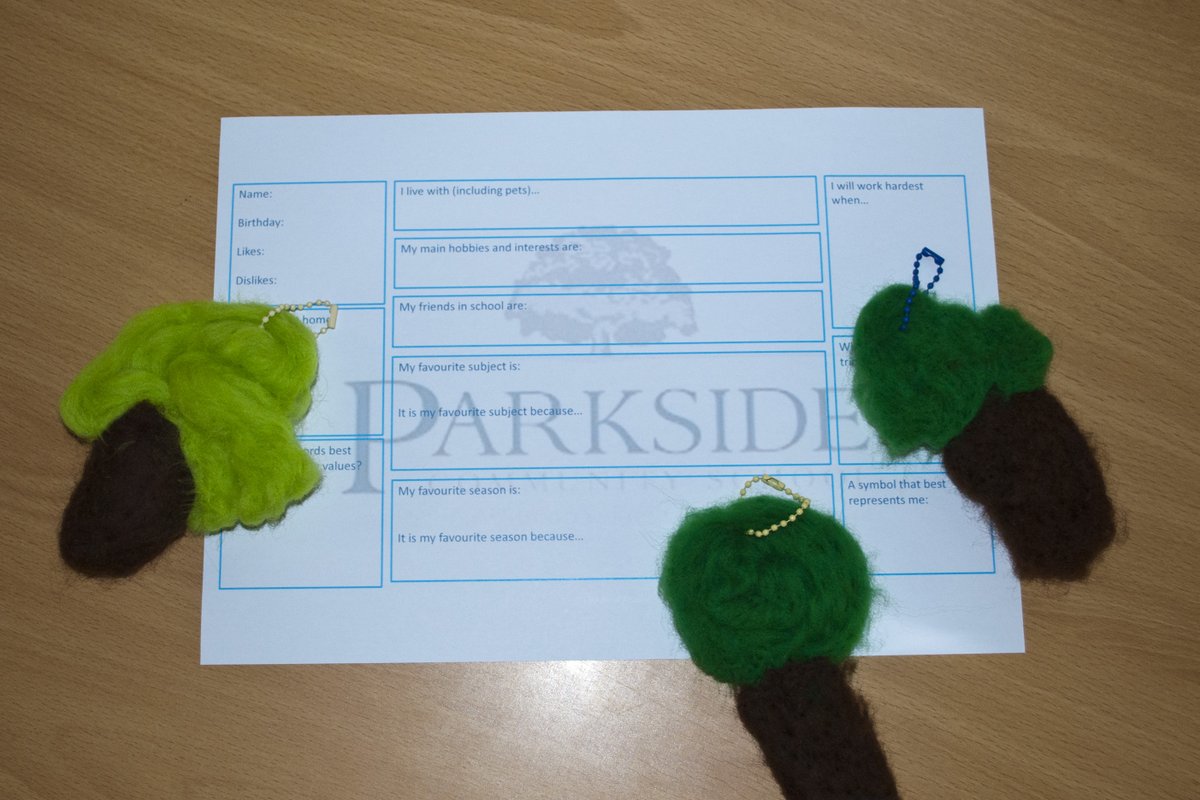 It was lovely to welcome some of our Year 6 transition pupils this morning. We had a lovely time needle felting and making Parkside Tree keyrings. We can’t wait to see you all on the 8th July.