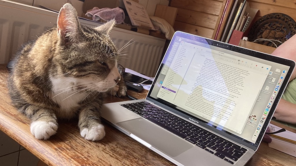 It's not as if I have a book to finish or anything like that...