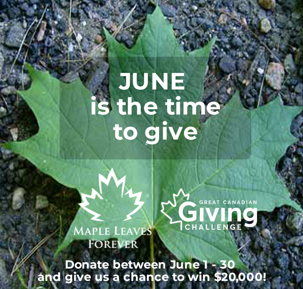 The Great Canadian Giving Challenge is happening this month! Every dollar donated to Maple Leaves Forever through our online portal in June is an entry for MLF to win $20,000 to continue to support maple tree planting and care. 
Visit mapleleavesforever.ca/donate/  to give today!