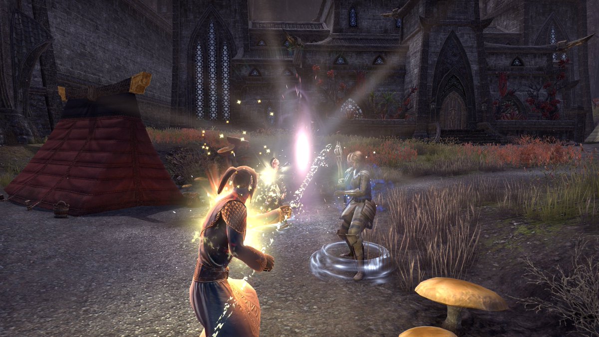 Tussler helped defend Fort Zeren.

#ElderScrollsOnline #ESO