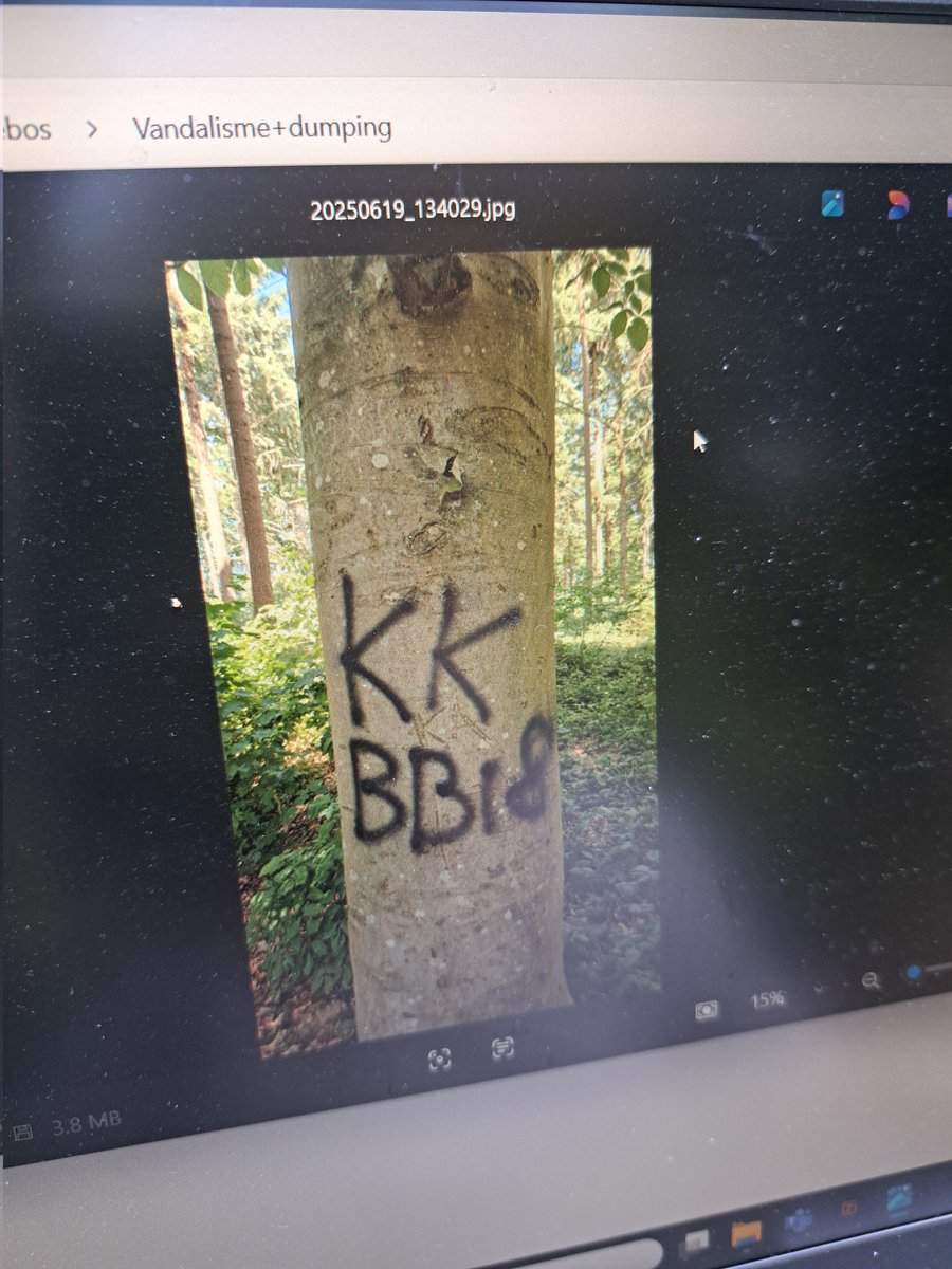 Tja.... midden in het wehlse bos zulke dingen gaan doen. Vrij triest. Zou bijna zeggen zijn we gewend.