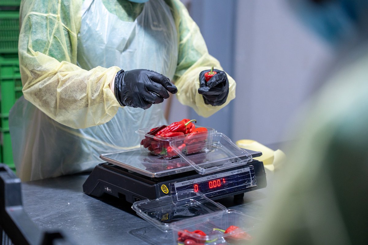 Nabt_app's tweet image. فخورين جدًا بفريق نبت 💚
كل يوم تُثبتون أن النجاح لا يأتي صدفة، بل هو نتيجة عمل دؤوب، وإخلاص، وشغف.
شكرًا لكل فرد منكم على إيمانكم بالرؤية، وعلى جهودكم المستمرة التي تصنع الفرق.
إلى مزيد من النجاحات سويًا بإذن الله!