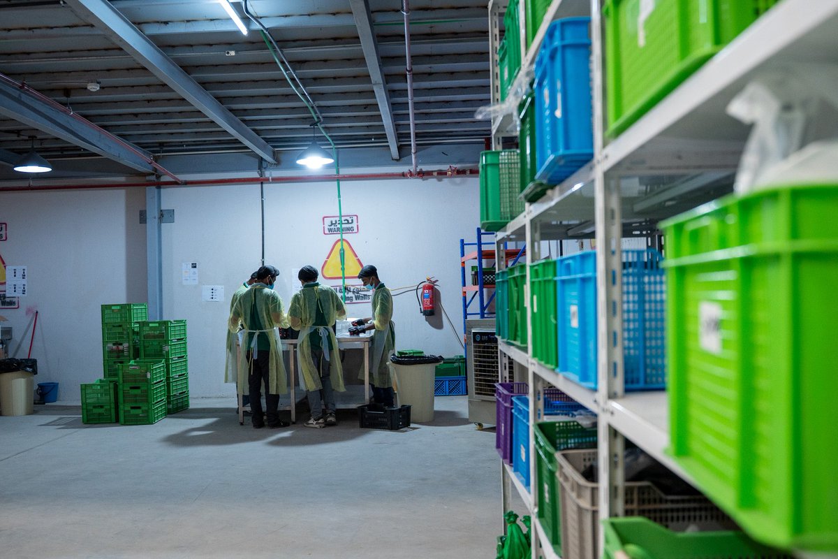 Nabt_app's tweet image. فخورين جدًا بفريق نبت 💚
كل يوم تُثبتون أن النجاح لا يأتي صدفة، بل هو نتيجة عمل دؤوب، وإخلاص، وشغف.
شكرًا لكل فرد منكم على إيمانكم بالرؤية، وعلى جهودكم المستمرة التي تصنع الفرق.
إلى مزيد من النجاحات سويًا بإذن الله!