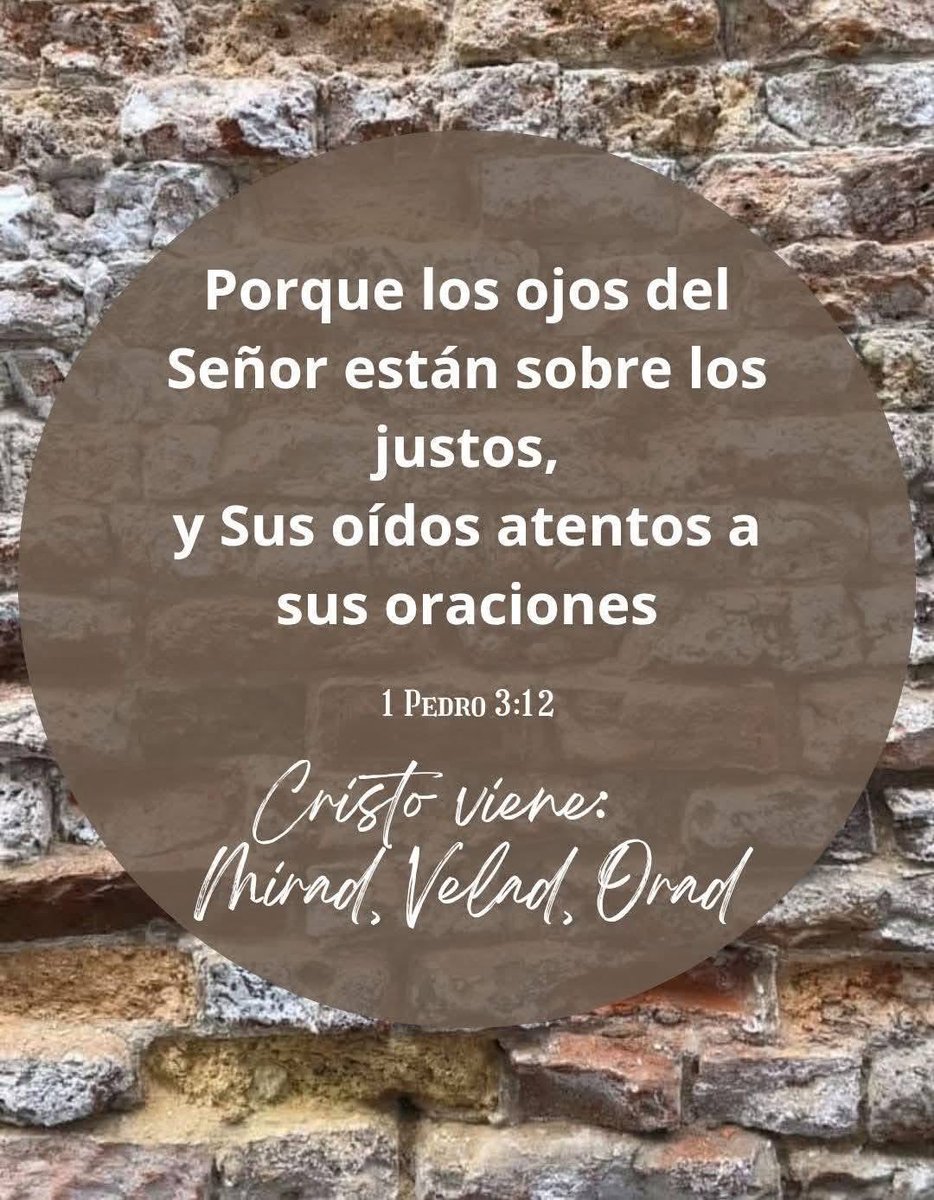 Bea Mercado (@beamerc42046583) on Twitter photo 