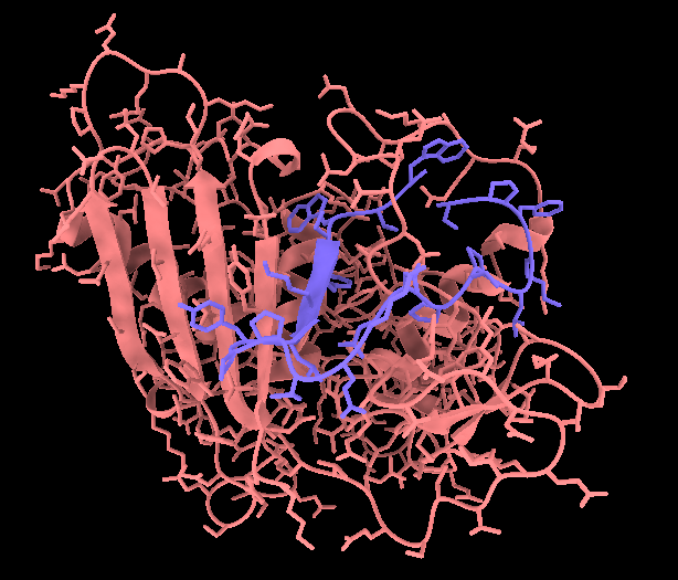 Catenane-like binding modes when designing cyclic peptides with Boltz-2: The target protein is not cyclic, so not a catenane in sensu stricto. That said, something I haven't seen before.