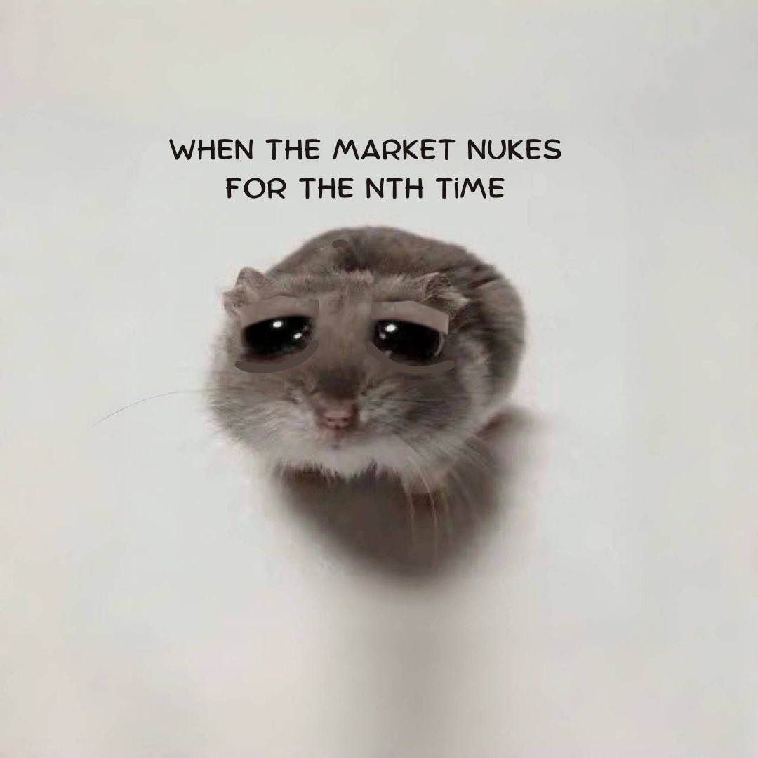 SadHamsterX's tweet image. Brb, going to sell a kidney.