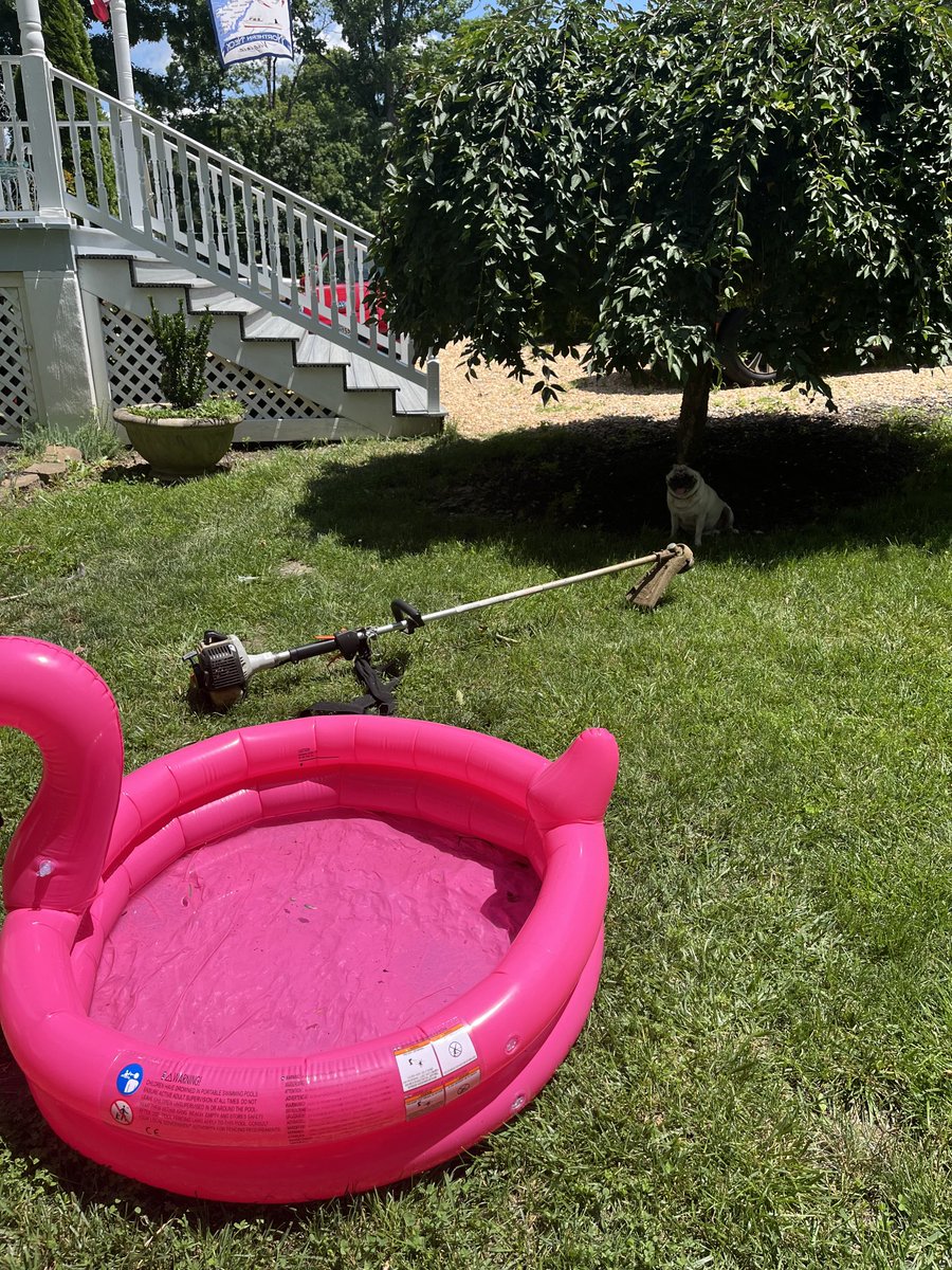 I want to swim but dad wants me to help him week eat. The nerve!