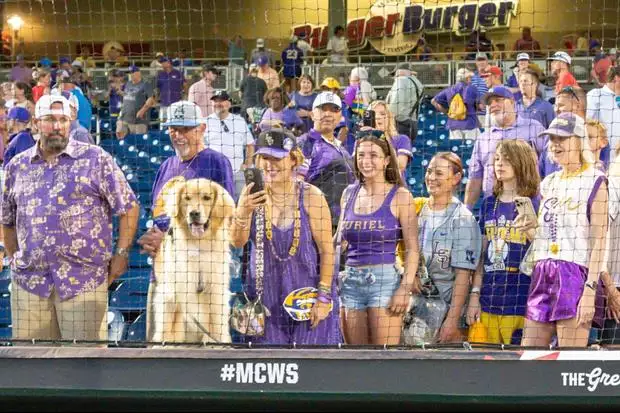 VIDEO: Here was the #LSU Pep Rally for fans at The College World Series on Thursday:

tigerdroppings.com/lsu-baseball/v…